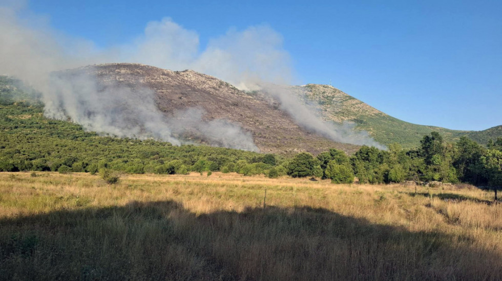 Požar kod Bora: Stihija zahvatila 40 hektara, spaseno osam domaćinstava