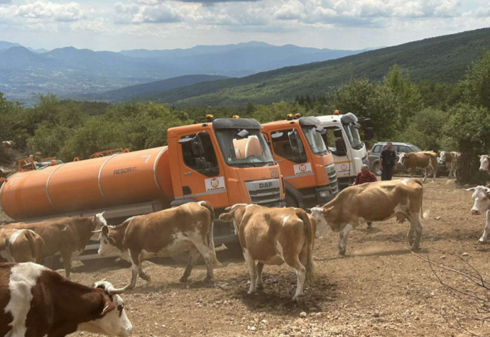 Ministarstvo poljoprivrede obezbedilo cisterne sa pijaćom vodom za stoku na Suvoj planini