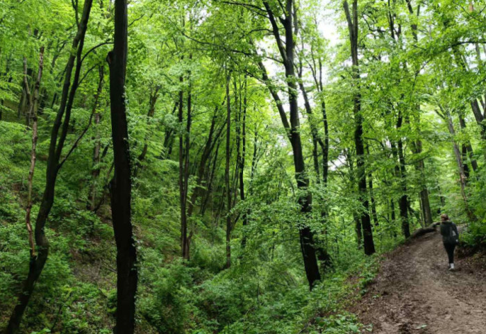 Spaseni nemački turisti koji su bili zaglavljeni na Durmitoru