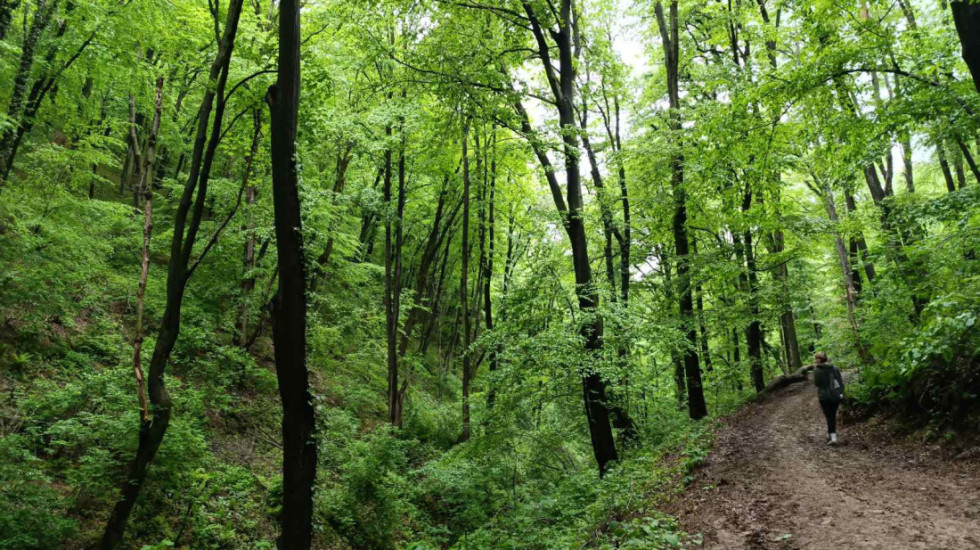 Spaseni nemački turisti koji su bili zaglavljeni na Durmitoru