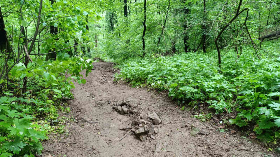 Slovenačka policija pronašla u šumi telo nestale Austrijanke, bivši partner osumnjičen za svirepo ubistvo