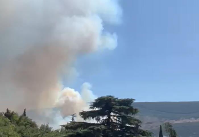 (VIDEO) Veliki požar kod Herceg Novog, ugrožene kuće i zgrade sa apartmanima