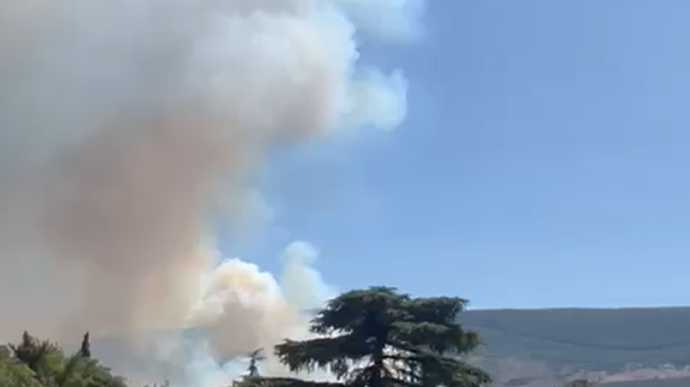 (VIDEO) Veliki požar kod Herceg Novog, ugrožene kuće i zgrade sa apartmanima