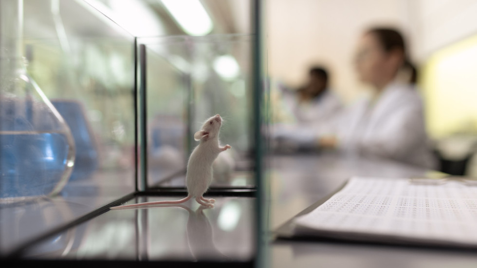 Četiri laboratorijska miša vraćena na Zemlju sa Kineske svemirske stanice