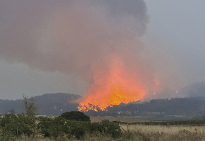 Grčka: Borba sa požarom na Peloponezu, vatra se brzo širi pod uticajem jakih vetrova