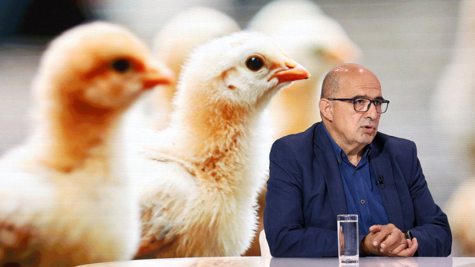 (VIDEO) Salmonela pronađena u 40 tona mesa u Ćićevcu: "Da inspekcija nije uradila posao, završilo bi u maloprodaji"