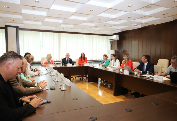 Počinje s radom Radna grupa za unapređenje Zakona o porodičnom nasilju, u fokusu prevencija i efikasnija zaštita žrtava