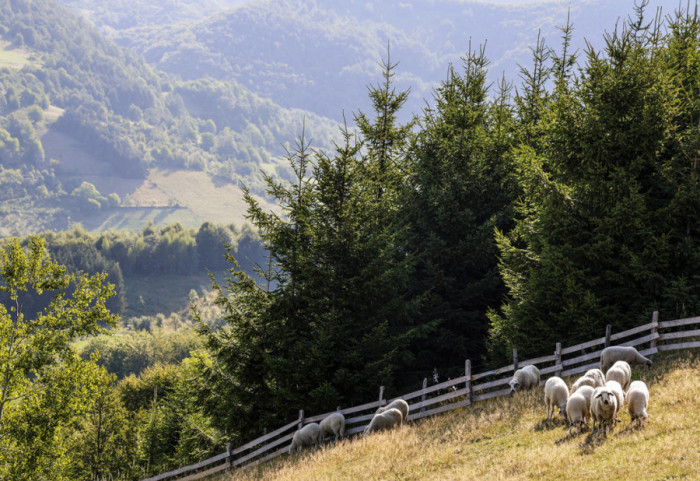 Objavljen konkurs za najbolja turistička sela: Rok za prijavu 9. jun