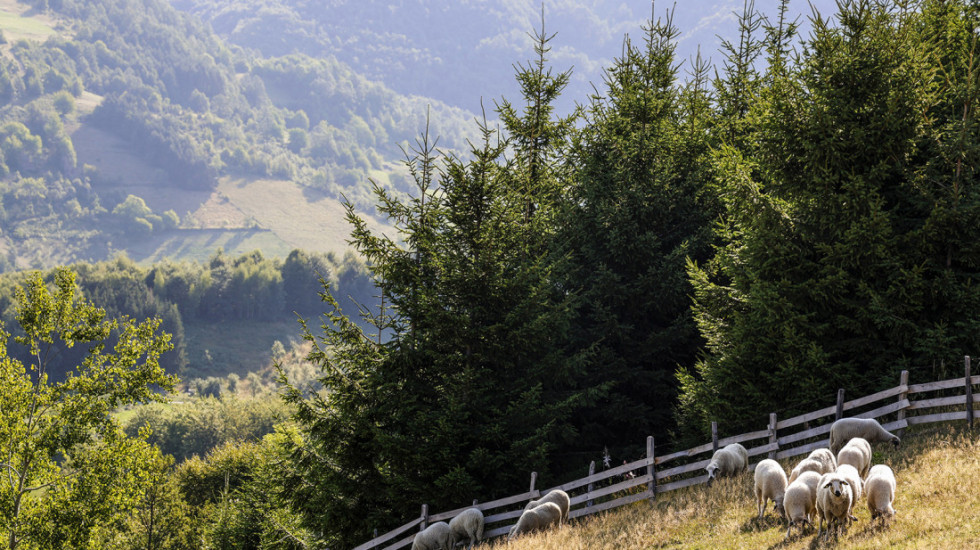 Objavljen konkurs za najbolja turistička sela: Rok za prijavu 9. jun