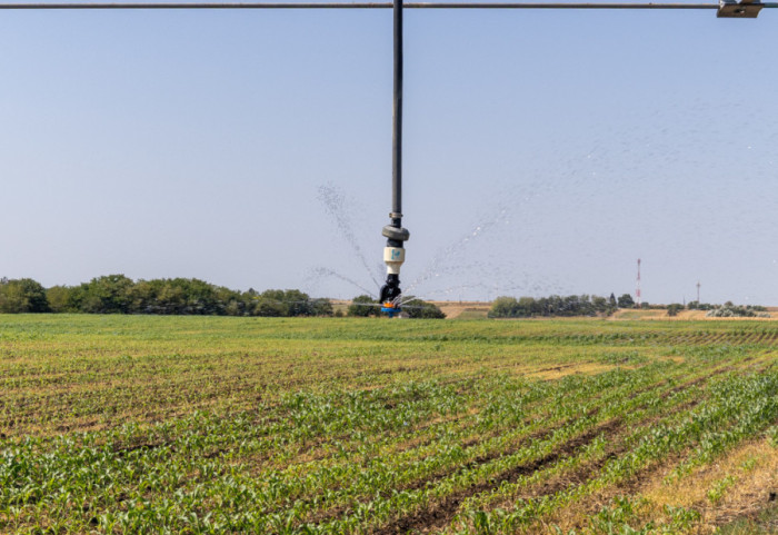 Ministarstvo poljoprivrede donelo novi pravilnik o podsticajima: Osnovni iznos 18.000 dinara po hektaru