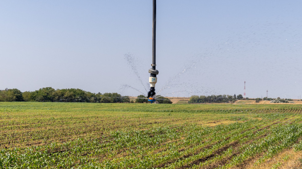 Ministarstvo poljoprivrede donelo novi pravilnik o podsticajima: Osnovni iznos 18.000 dinara po hektaru