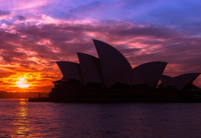 Otkrivena najsmrtonosnija životinja u Australiji, nije zmija ni pauk