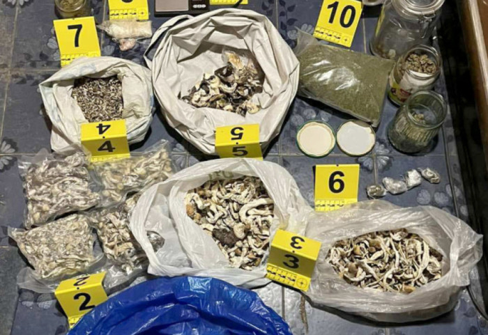 (FOTO) Otkrivene laboratorije za uzgoj psihoaktivnih pečuraka u Bečeju