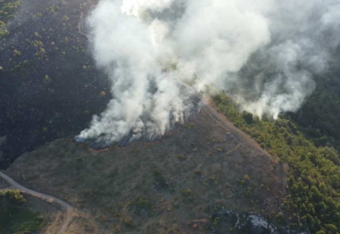 Around 16,000 Fires in Serbia Since the Beginning of the Year