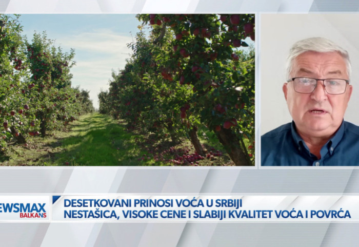 (VIDEO) Agroekonomista za Newsmax Balkans: "Prolećni mraz i letnja suša desetkovali rod i podigli cene voća"