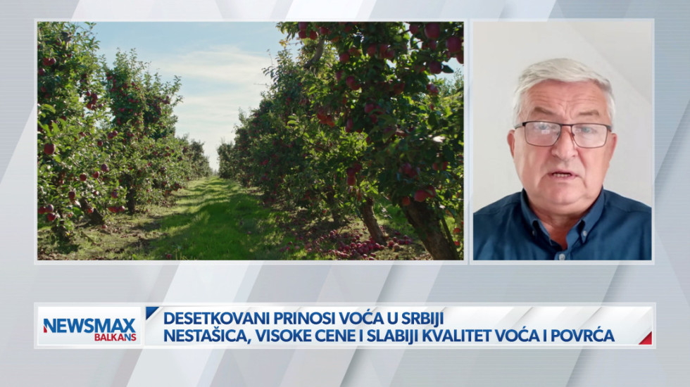 (VIDEO) Agroekonomista za Newsmax Balkans: "Prolećni mraz i letnja suša desetkovali rod i podigli cene voća"
