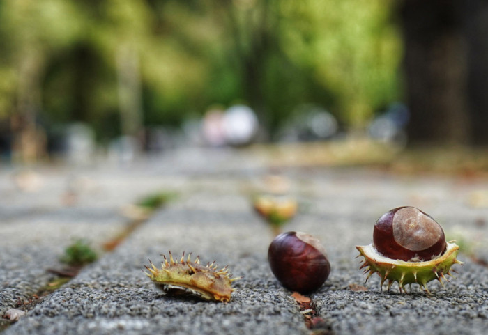 U Srbiji promenljivo oblačno: Posle podne i uveče kiša, temperatura do 20 stepeni