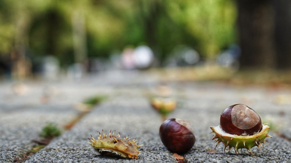 U Srbiji promenljivo oblačno: Posle podne i uveče kiša, temperatura do 20 stepeni