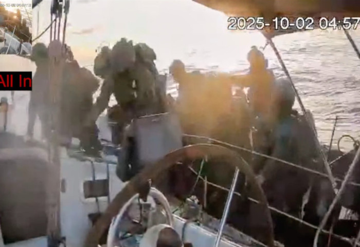 Israel Stops Humanitarian Flotilla Near Gaza: Among Those Detained is a Serbian Activist; Vucic Responds