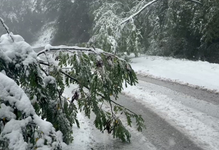 Mitrović: U Ivanjici bez struje potrošači u Kušićima, sneg u gradu do 10 centimetara