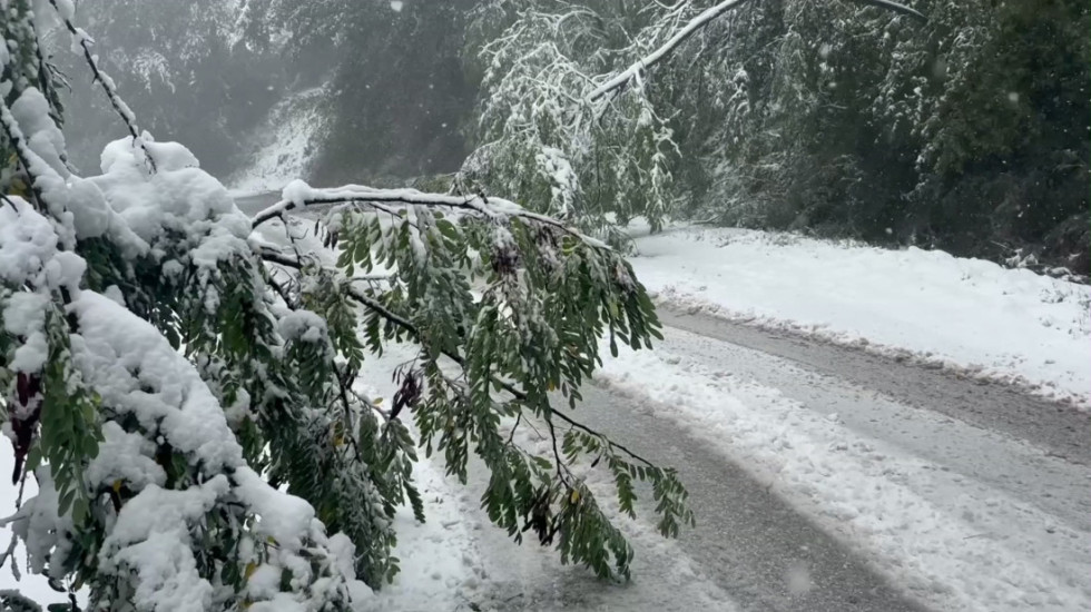 Mitrović: U Ivanjici bez struje potrošači u Kušićima, sneg u gradu oko 10 centimetara