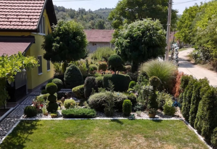 Najlepše dvorište u Kragujevcu: Njegov kreator Milan je slep, sa porodicom uređuje mali raj već dve decenije