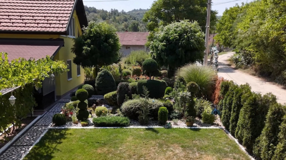 Najlepše dvorište u Kragujevcu: Njegov kreator Milan je slep, sa porodicom uređuje mali raj već dve decenije