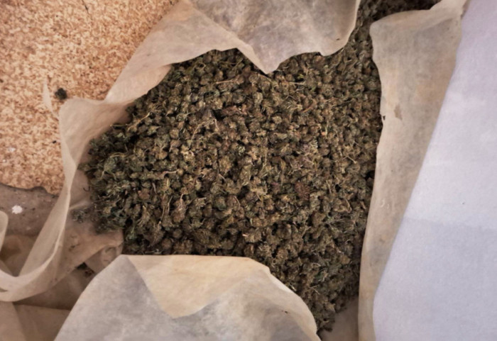 Pronađeno oko 350 kilograma marihuane u mestu kod Loznice, uhapšen vlasnik imanja (61)
