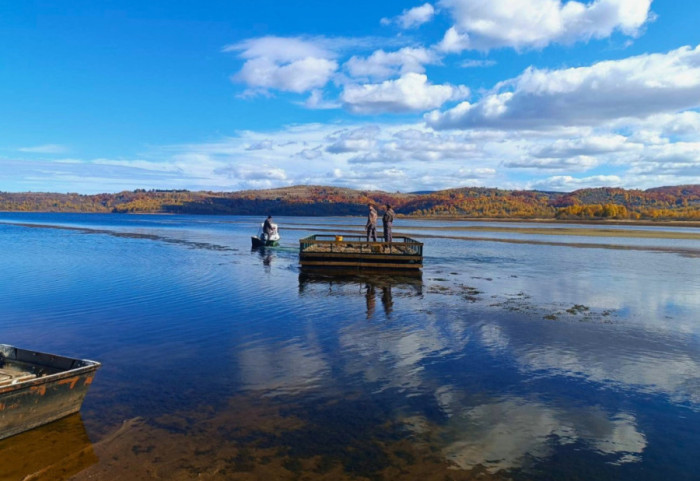 Na Vlasinskom jezeru postavljen splav za gnežđenje čigri