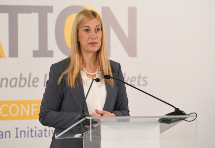 Državna sekretarka u MSP: Iznenađeni smo komentarima Zaharove na račun Srbije i predsednika Vučića