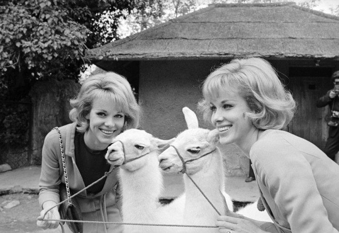 Preminule čuvene sestre Kesler: Nemačke bliznakinje Alis i Elen (89) odlučile se za "potpomognutu smrt"