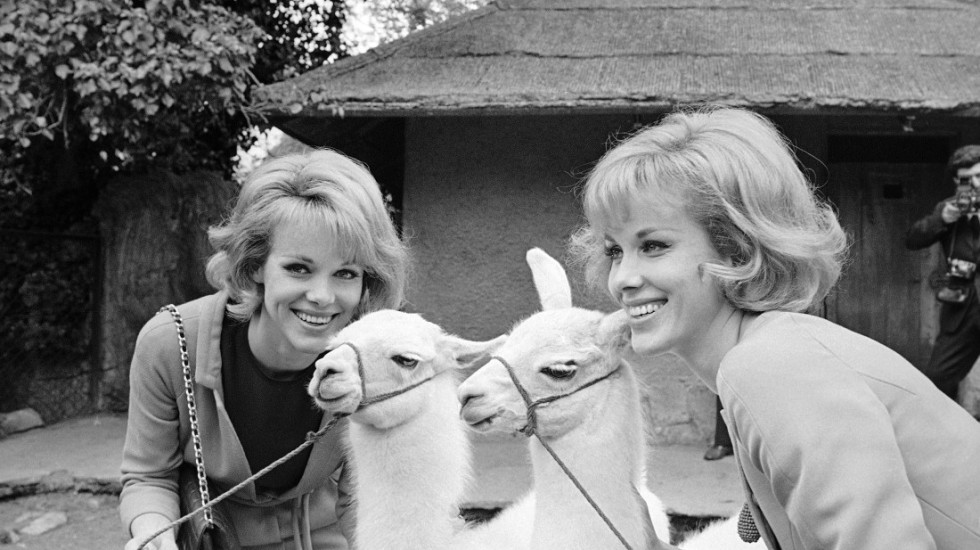 Preminule čuvene sestre Kesler: Nemačke bliznakinje Alis i Elen (89) odlučile se za "potpomognutu smrt"