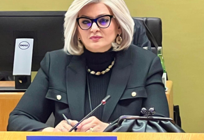 Tabaković: Neizvesnost posebno oko NIS utiče da se ne podiže kreditni rejting