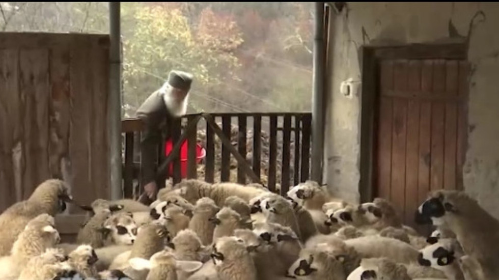 Magistar biologije i pastir: Radivoje (81) čuva ovce manastira Studenice već 30 godina, vreme prekraćuje čitajući knjige