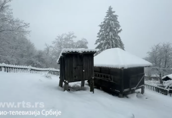 Vuk ušetao u dvorište Nevene iz sela kod Krupnja: "Češće viđam divlje životinje nego ljude"