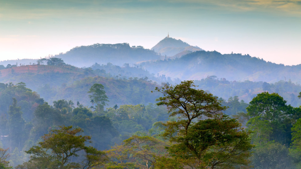 Biolog ostvario svoj san u prašumama Sumatre: Pronašao biljku za kojom je tragao 13 godina