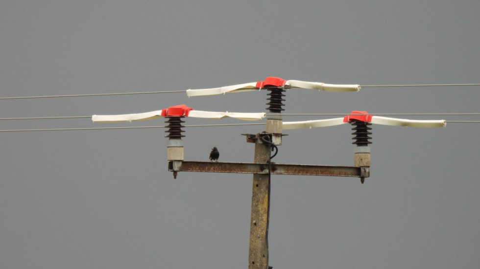 Dunav bezbedniji za ptice tokom seobe