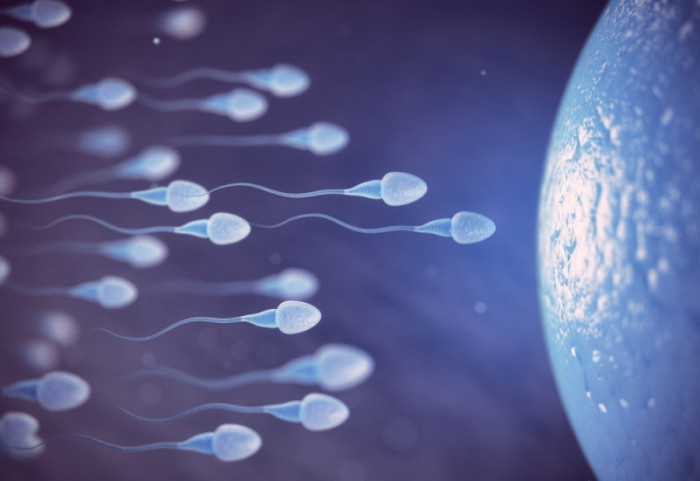 Sperma donora sa genetskom mutacijom koja uzrokuje rak korišćena za začeće skoro 200 dece, između ostalog i u Srbiji