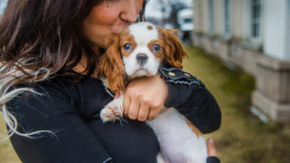 Odlazak vlasnika od kuće predstavlja stres za pse: Kako da prepoznate i ublažite problem