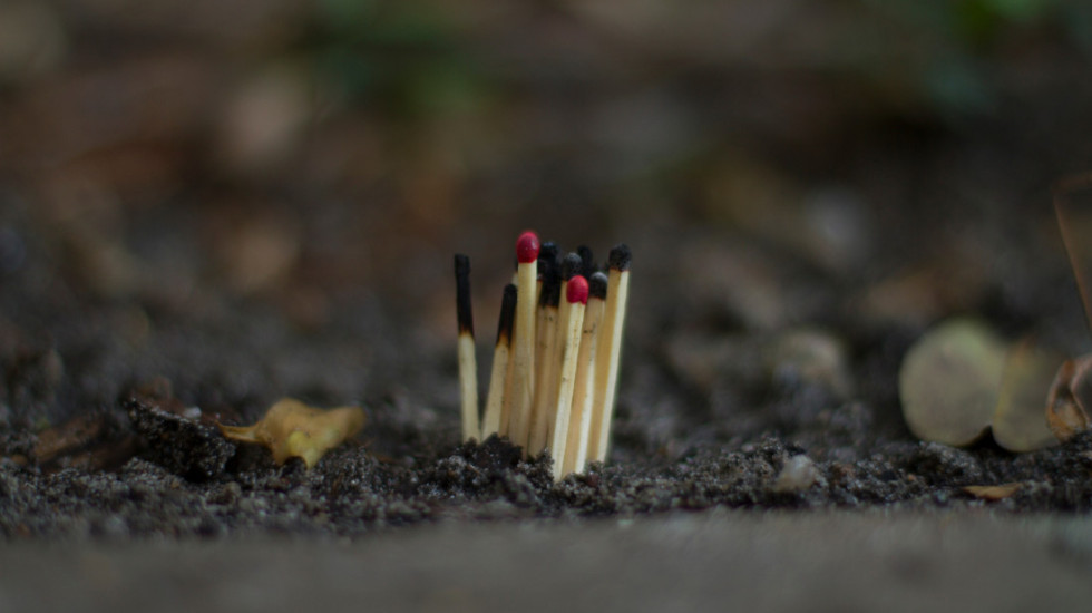 Zašto ubacivanje šibica u saksije pomaže biljkama da bolje rastu