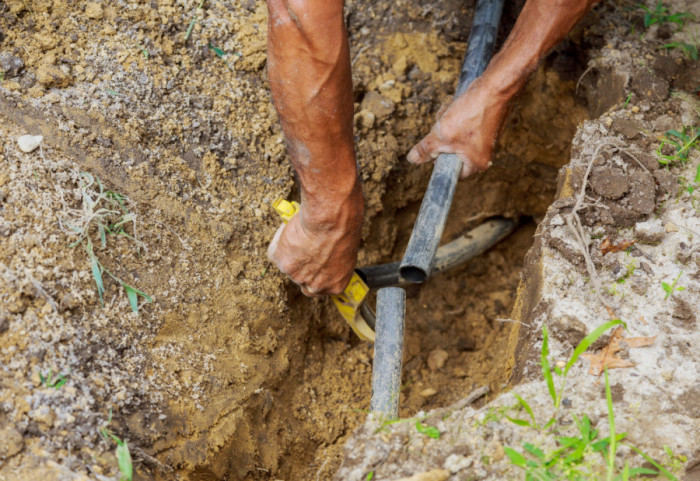 Više od 180 migranata ušlo u Poljsku kroz tunel skriven u šumi na granici s Belorusijom