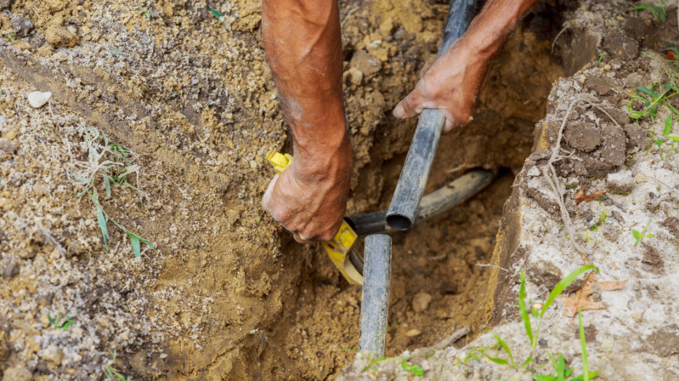 Više od 180 migranata ušlo u Poljsku kroz tunel skriven u šumi na granici s Belorusijom