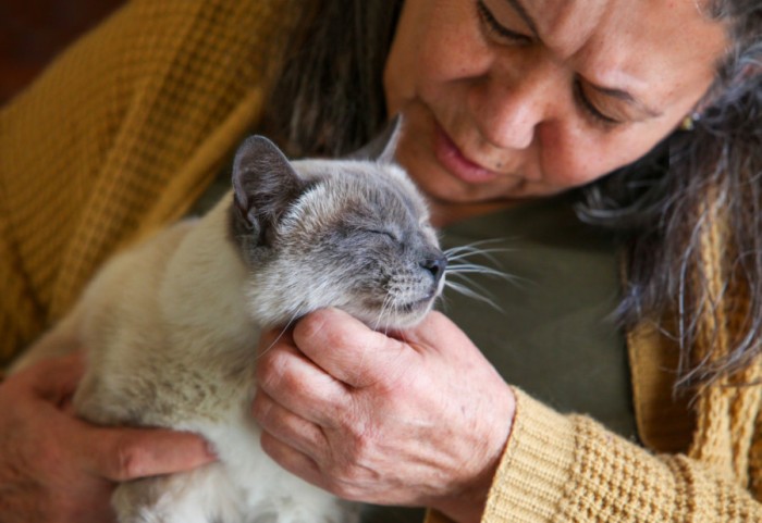 Kako prepoznati znakove separacijske anksioznosti kod vaših mačaka