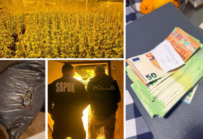 Razbijena narko-mreža u međunarodnoj akciji "Šenbrun": Uhapšeno osam osoba zbog proizvodnje i prodaje marihuane