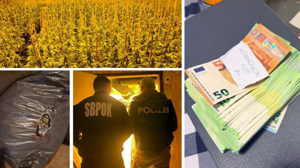 Razbijena narko-mreža u međunarodnoj akciji "Šenbrun": Uhapšeno osam osoba zbog proizvodnje i prodaje marihuane