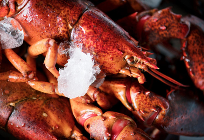 U SAD ukradena pošiljka jastoga vredna 400.000 dolara: FBI otvorio istragu