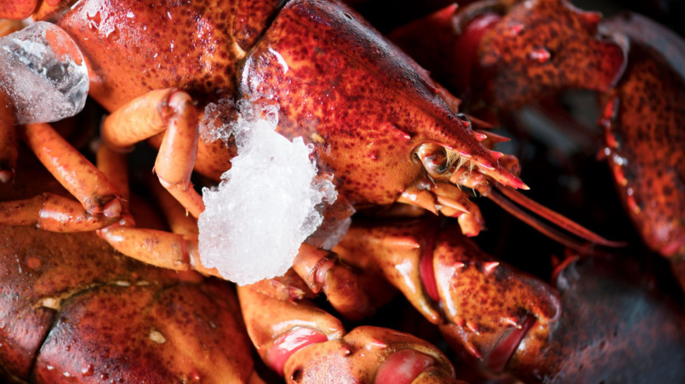 U SAD ukradena pošiljka jastoga vredna 400.000 dolara: FBI otvorio istragu