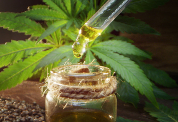 Da li će legalizacija medicinskog kanabisa biti moguća i u Srbiji: "Nema razloga da se ne izvrši, ceo svet to prihvata"