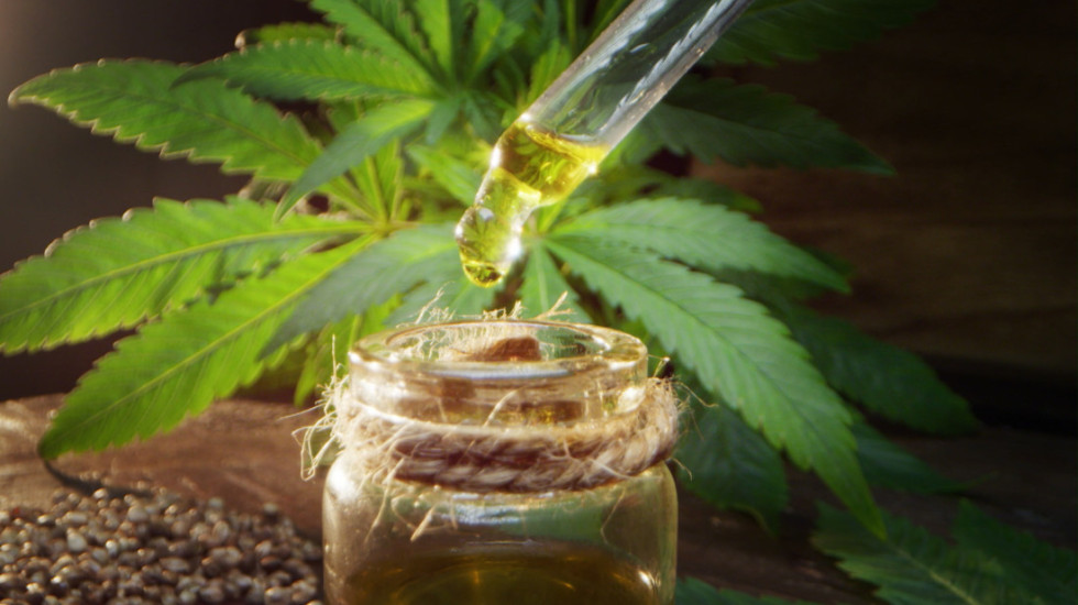 Da li će legalizacija medicinskog kanabisa biti moguća i u Srbiji: "Nema razloga da se ne izvrši, ceo svet to prihvata"