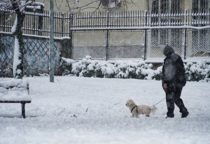 Sneg i ledena kiša u Srbiji: U toku evakuacija četvoro ljudi u Tršiću, bez struje delovi kolubarskog i mačvanskog okruga